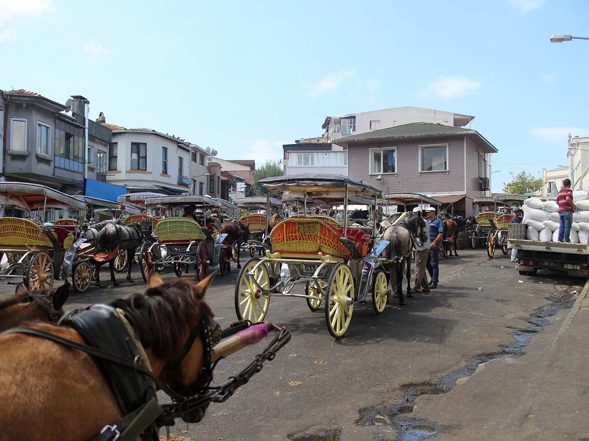 horse drawn carriages at buyukada island turkey