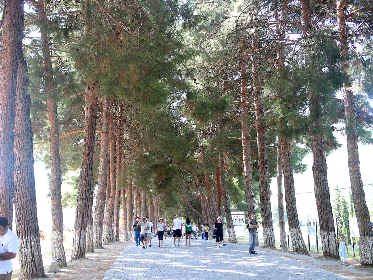 entrance at ephesus