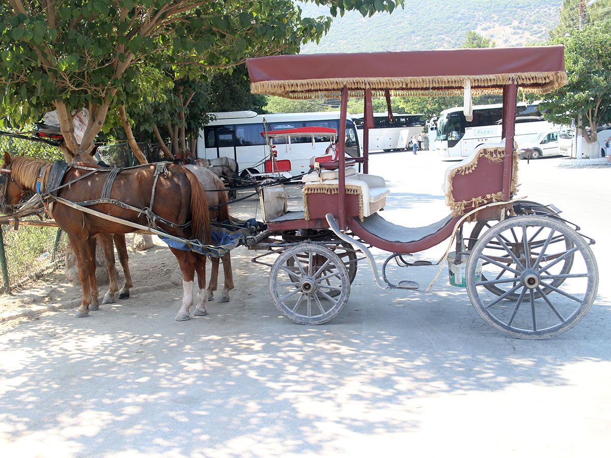 horse-at-ephesus-gate