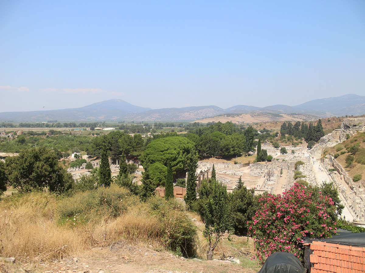 view-at-top-of-the-terrace-houses