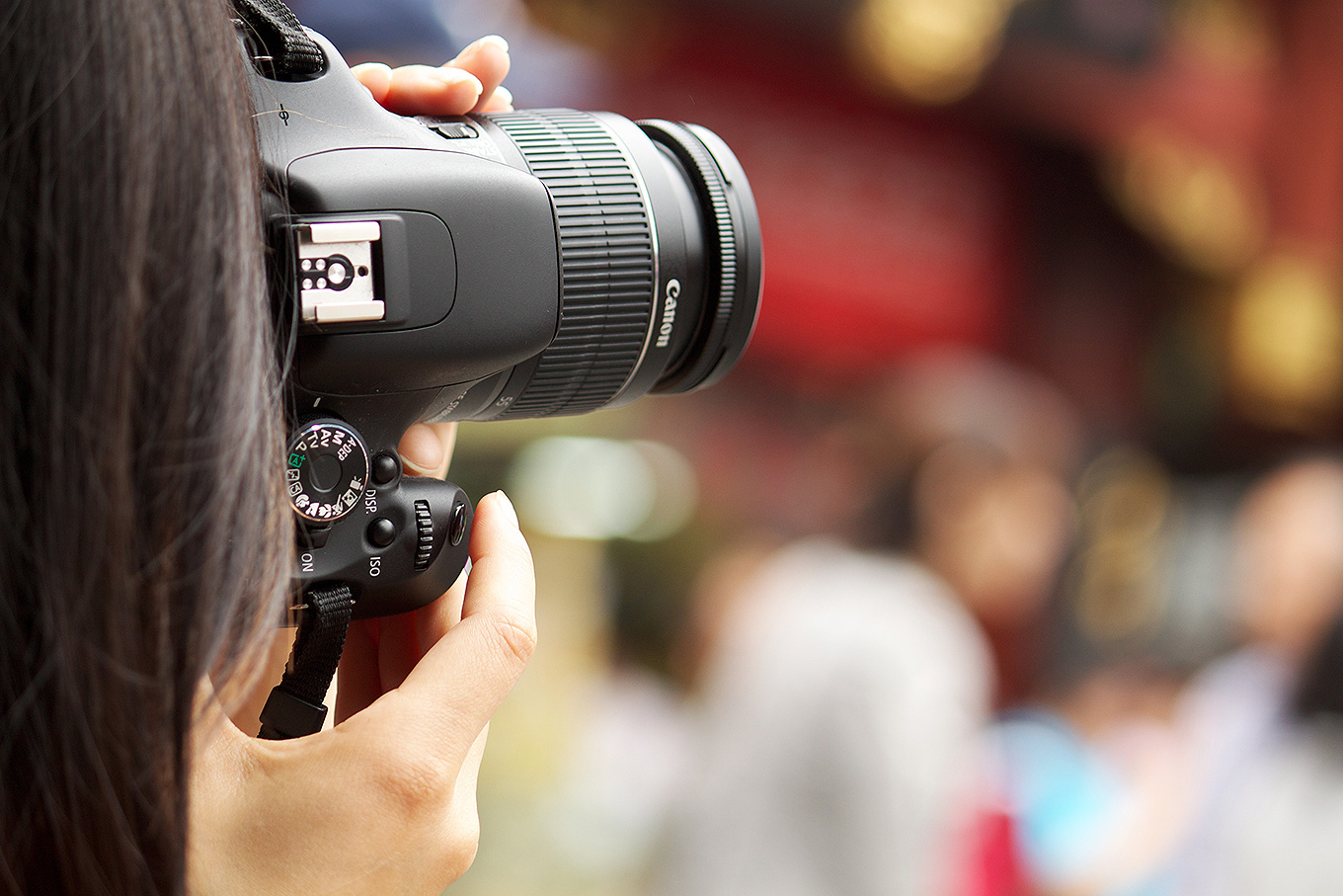 Blogger cameras and lens