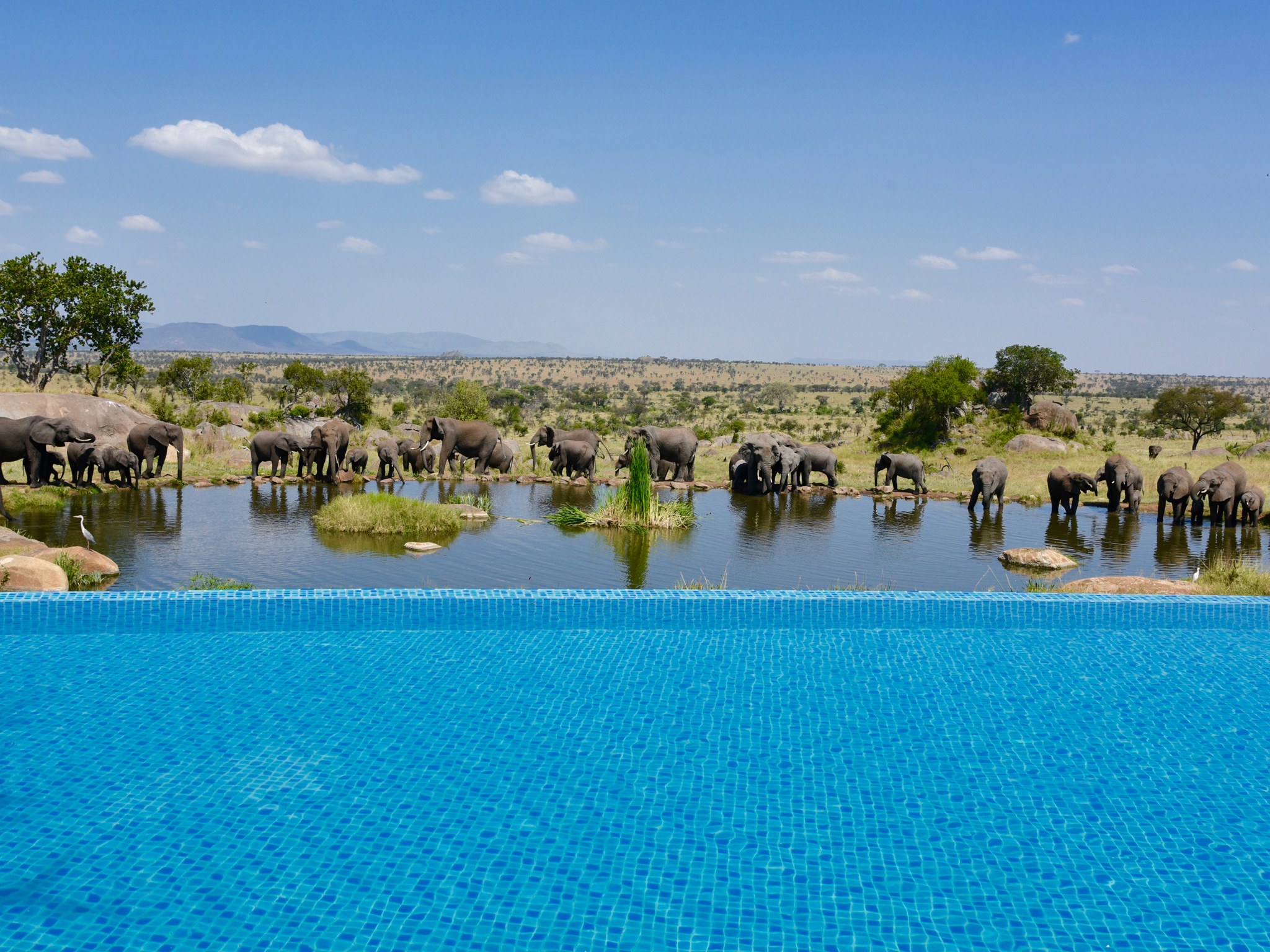  Four Seasons Safari Lodge Serengeti Tanzania hotels with best infinity pools