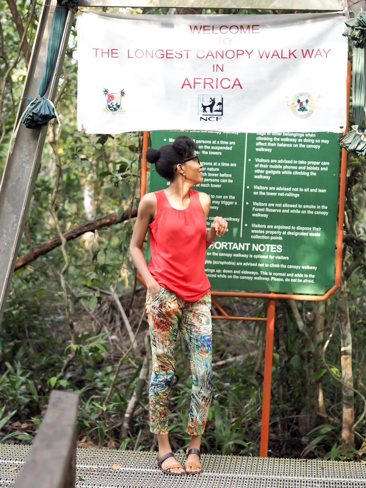 Longest canopy walk in Africa inside lekki conservation centre Lagos Nigeria 